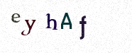 Visual Confirmation Security Code